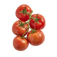 tomatoes on the vine