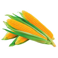 corn, 4 pack