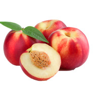 nectarines