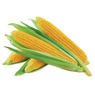 corn, 4 pack